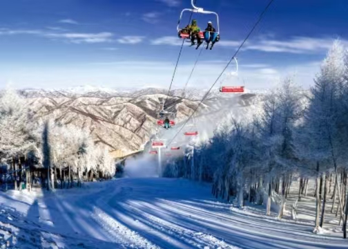 國務(wù)院辦公廳印發(fā)《關(guān)于進(jìn)一步培育新增長點(diǎn)繁榮文化和旅游消費(fèi)的若干措施》<br>提出“啟動(dòng)實(shí)施冰雪旅游提升計(jì)劃”